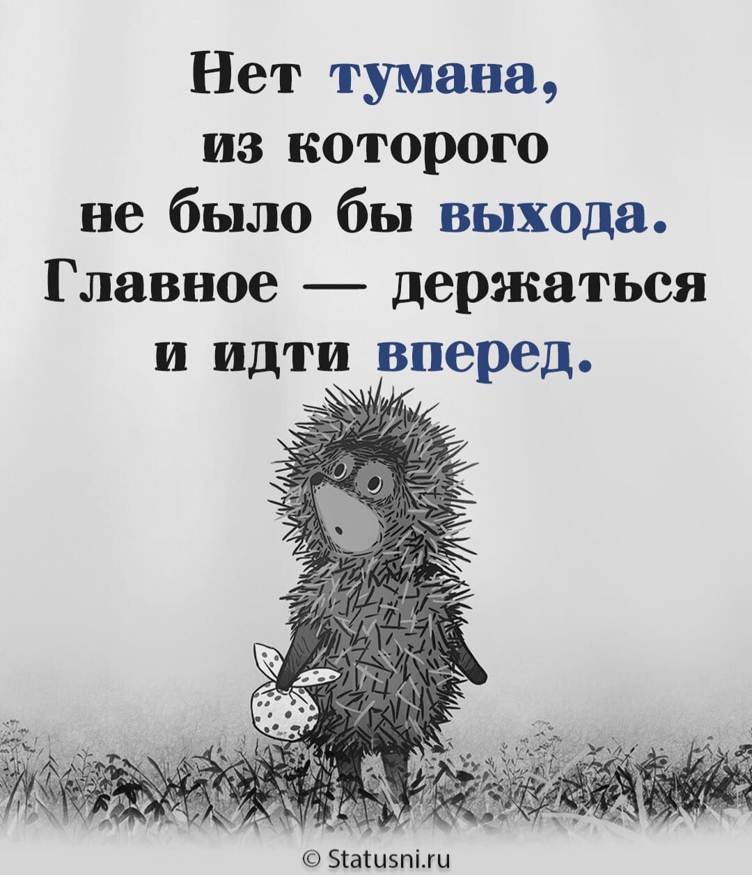 Нет тумана из которого не было бы выхода Главное держаться и идти вперед Бкаспэпыи