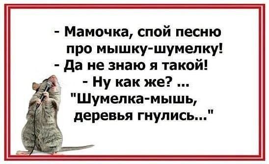 Мамочка спой песню про мышку шумелку да не знаю я такой Ну как же Шумелка мышь деревья гиупись