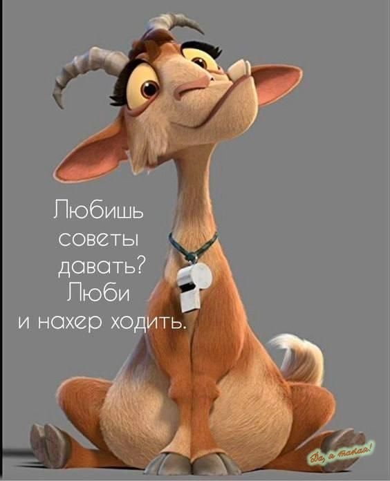 Пюбишь советы давать Пюби И нахер ХО ц
