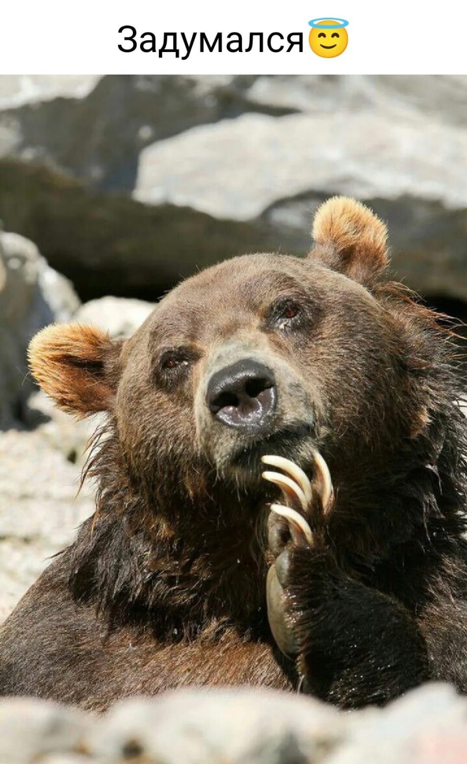 Задумалсяб