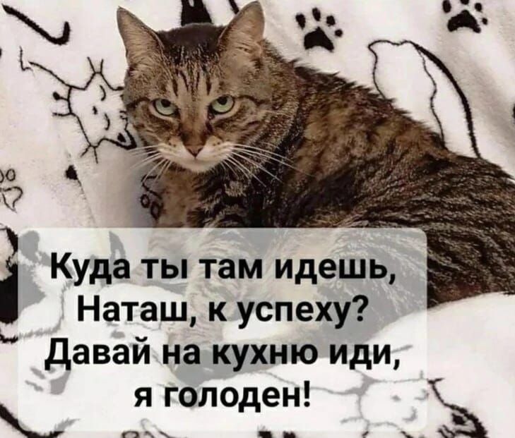 Куда ты там идешь Наташ к успеху давай на кухню иди яголоден Ъ