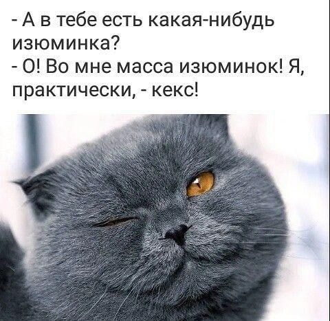 А в тебе есть какая нибудь изюминка 0 Во мне масса изюминок Я практически кекс