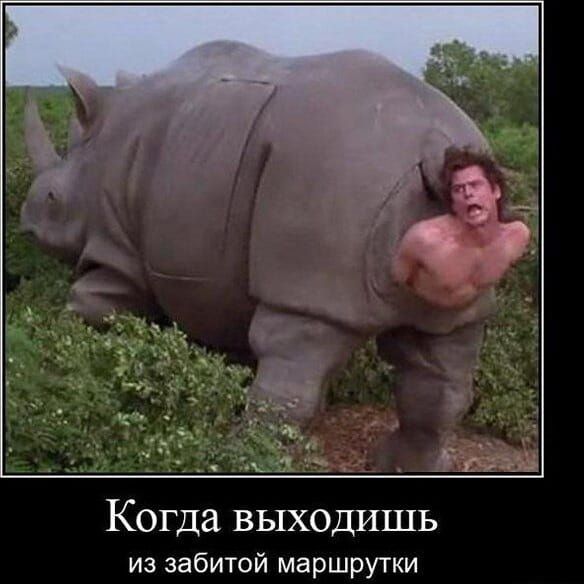 Когда выходишь из забитой маршрутки