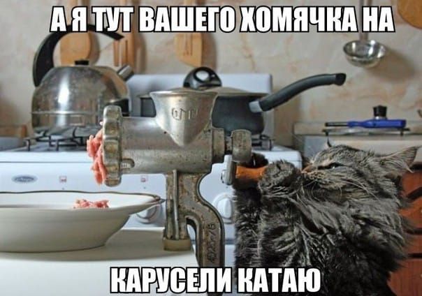 дятцтт иомнчкд нй __ЁЕ д 1 АРУБЕШШППШ