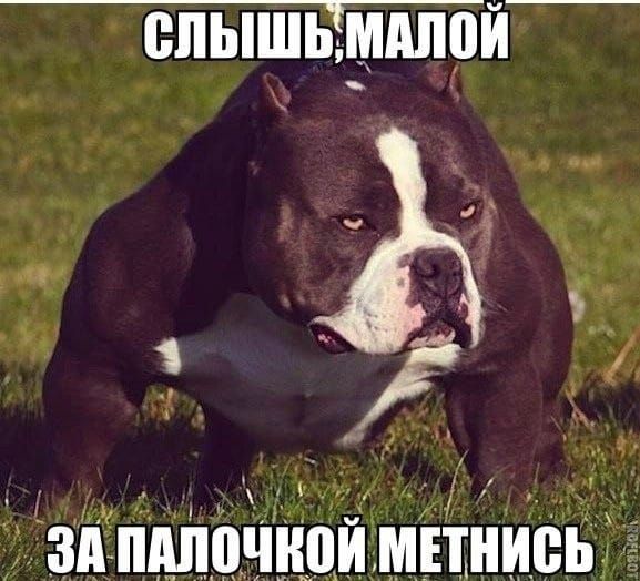 тзпіпідпочнцйМТъіниеь