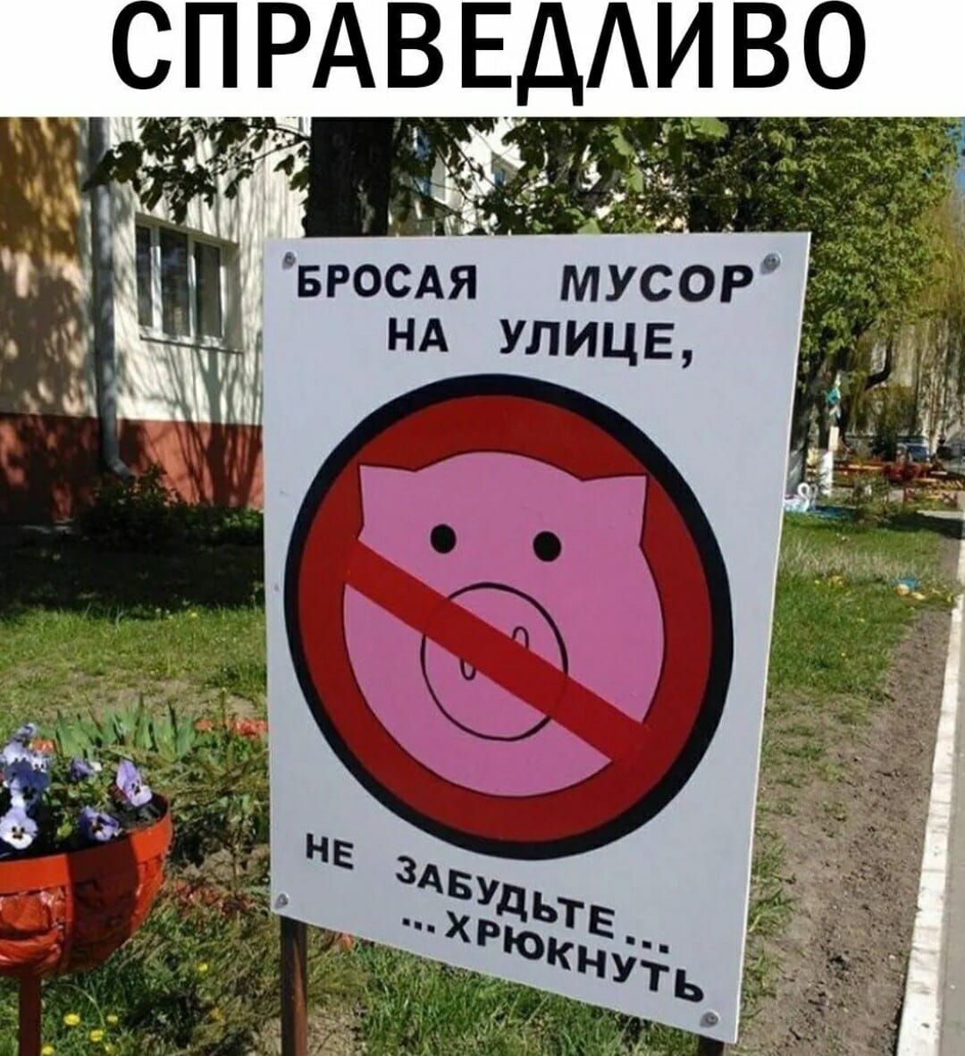 мусог НА упицв