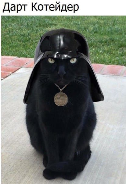 Дарт Котейдерг