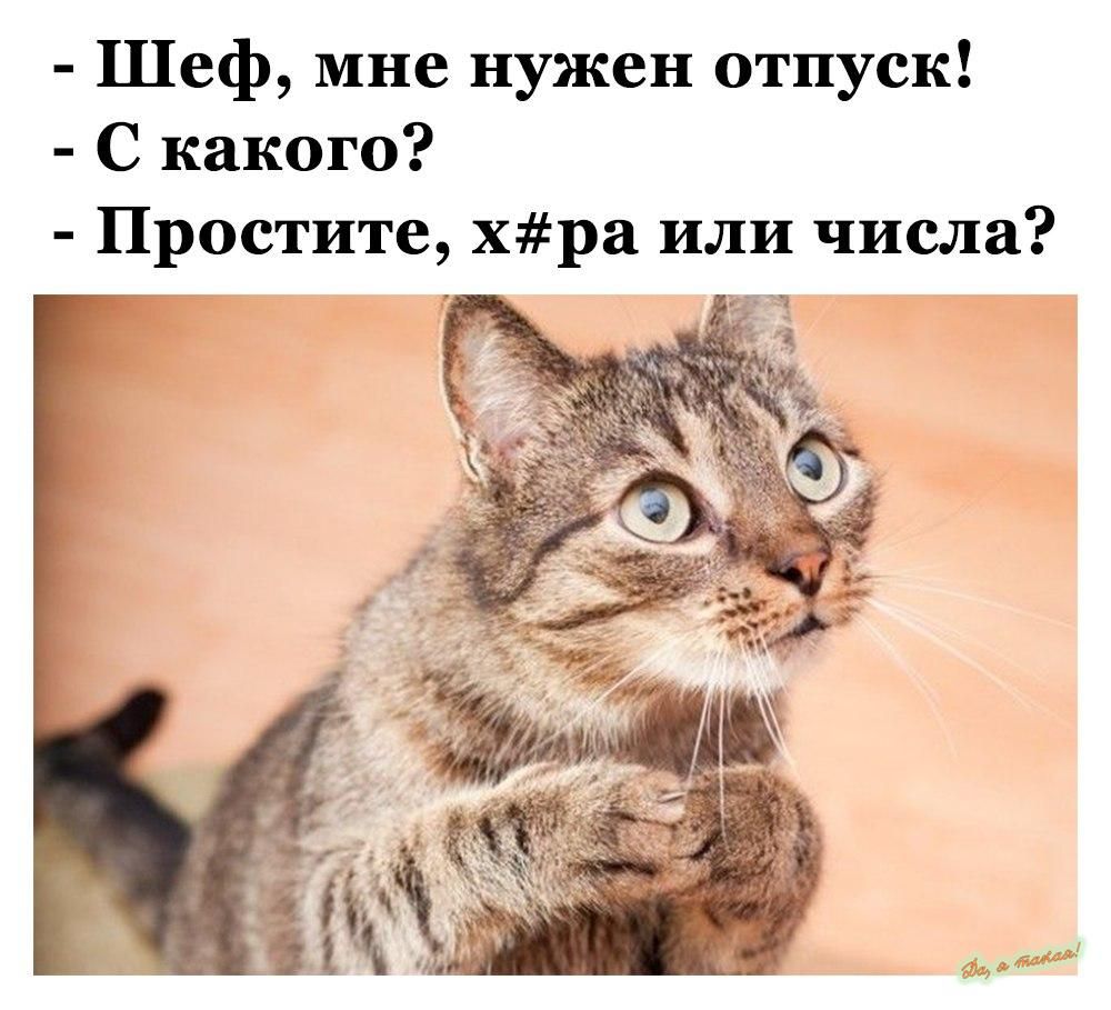 Шеф мне нужен отпуск С какого Простите хра или числа