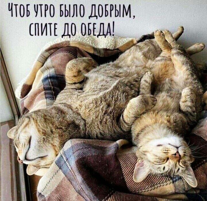 ЧТОБ 0 БЫЛО ДОБРЫМ ПИТЕ ДО ОБЕДА