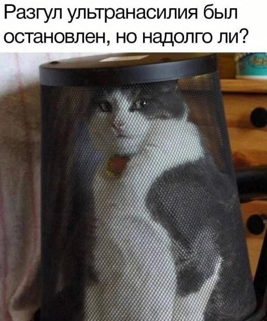 Разгул ультранасилия был остановлен но надолго ли