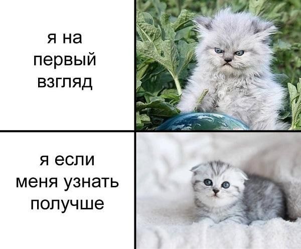я на первый взгляд Я если меня узнать получше