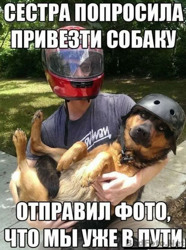 БЕЁТРА МАРПВИЛА _аПРИВЕЗТИ 005А отпгдвйп за 3 1 шнг вЁзЙи _ А