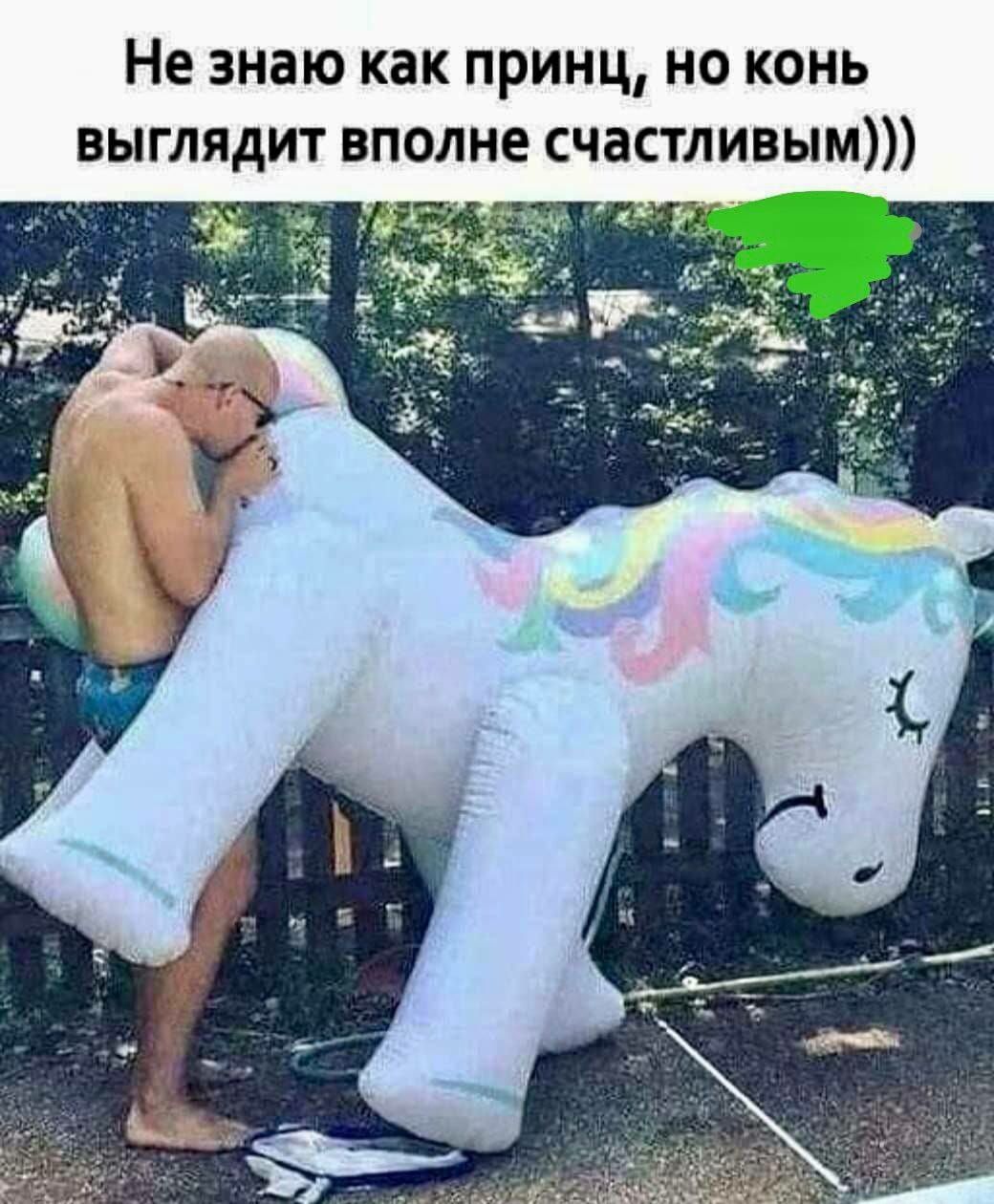 Не знаю как принц нс конь выглядит вполне счастливым