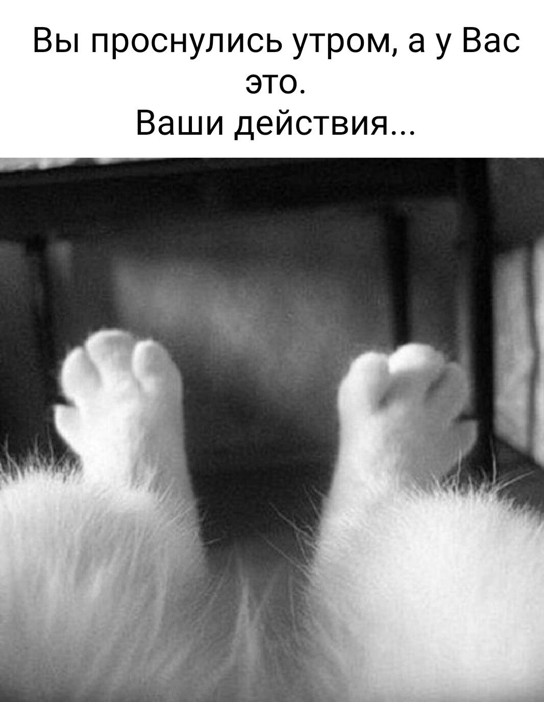 Вы проснулись утром а у Вас это Ваши действия