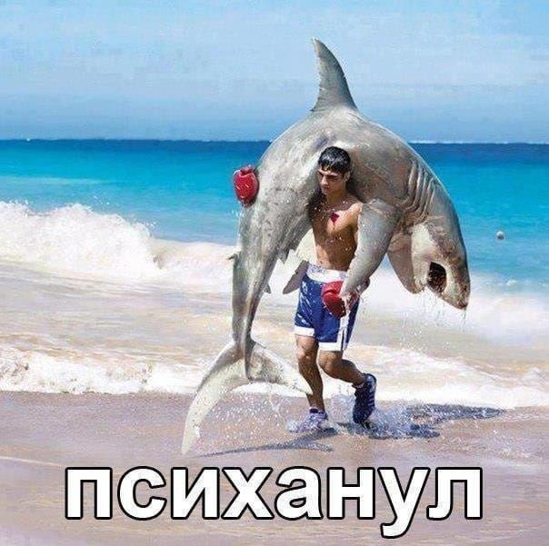шжпш