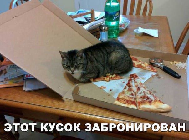 1 ЭТОТ КУСОК ЗАБ