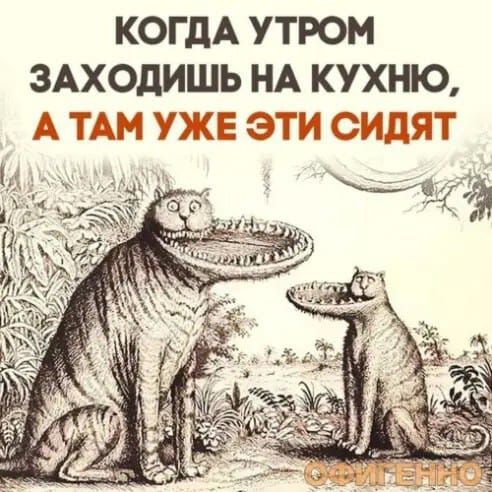 КОГДА УТРОН ЗАХОДИШЬ НА КУХНЮ А ТАМ УЖЕ Т И СИДЯТ