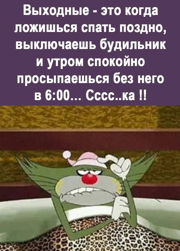 Выходные это когда пожишься спать поздно выключаешь будильник и утром спокойно просыпаешься без него в 600 Сссска