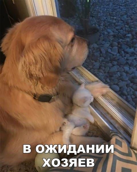 в ожидАниич озявв г