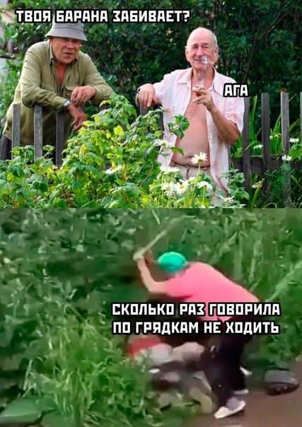 В0Я БАРАНА ХАБИВАЕТ Рт М у Ь ар Г СЛЬ і 17 а 5