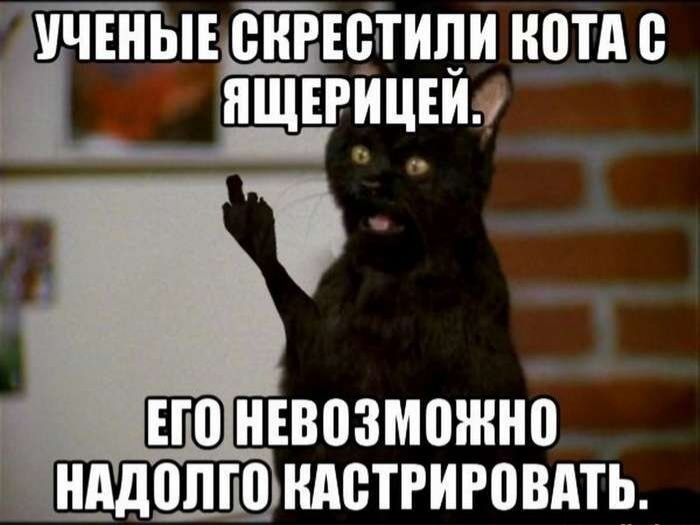 тыъ сйгюётипи нотд ЁЩЁРИЦвйз ШШ НЕВЦЗМШШЮ НЩШЦ НАВТРИРВВАТЬ