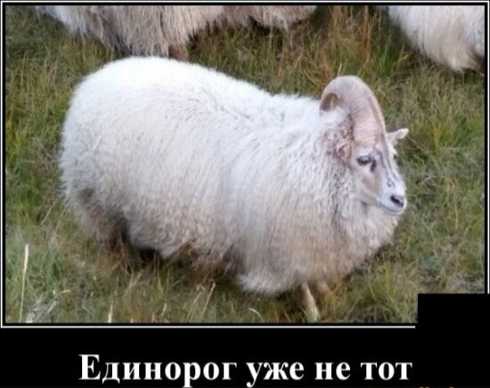 Единорог уже не тот