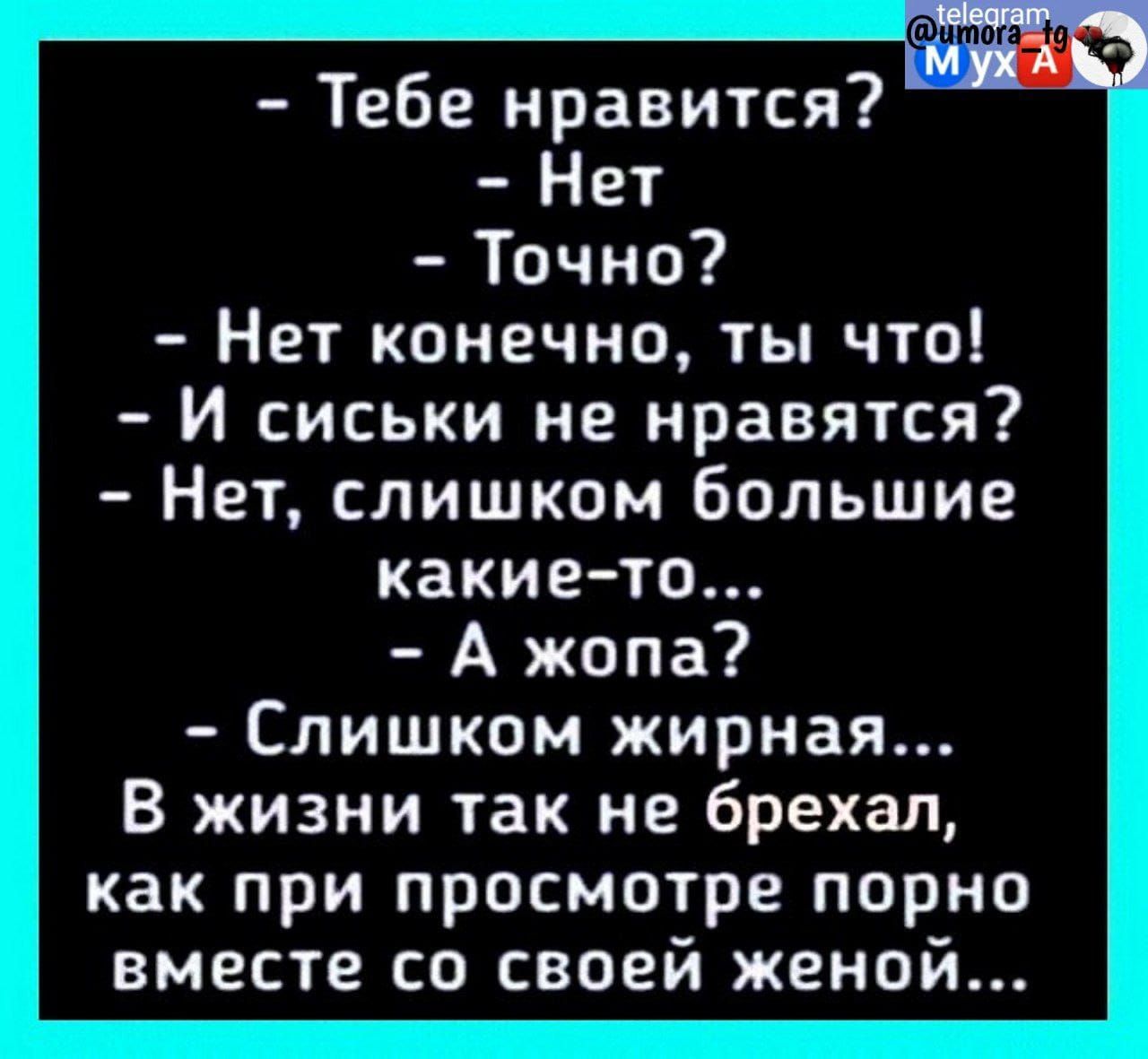 Тебе нравится Нет Точно Нет конечно ты что И сиськи не нравятся Нет слишком  большие какието А жопа Слишком жирная В жизни так не брехал как при  просмотре порно вместе со своей