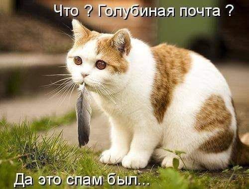 Что 2 тУВиная почта ч