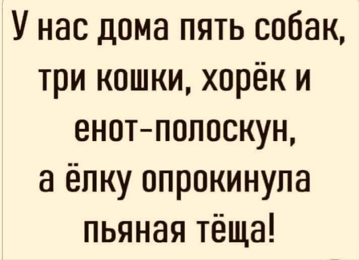 У нас дома пять собак три кошки хорёк и енотпопоскун а ёпку опрокинула пьяная тёща