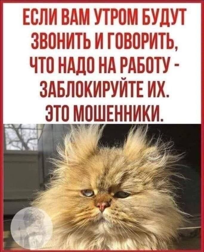 ЕСЛИ ВАМ УТРПМ БУДУТ ЗВОНИТЬ И ТПВПРИТЬ ЧТП НАШ НА РАБОТУ ЗАБЛПКИРУИТЕ ИХ ЭТП МПШЕННИКИ В и