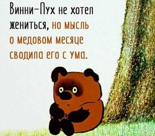 Винни Пух не хотел жениться на мыспь 0 медовом месяце сводила его с ума