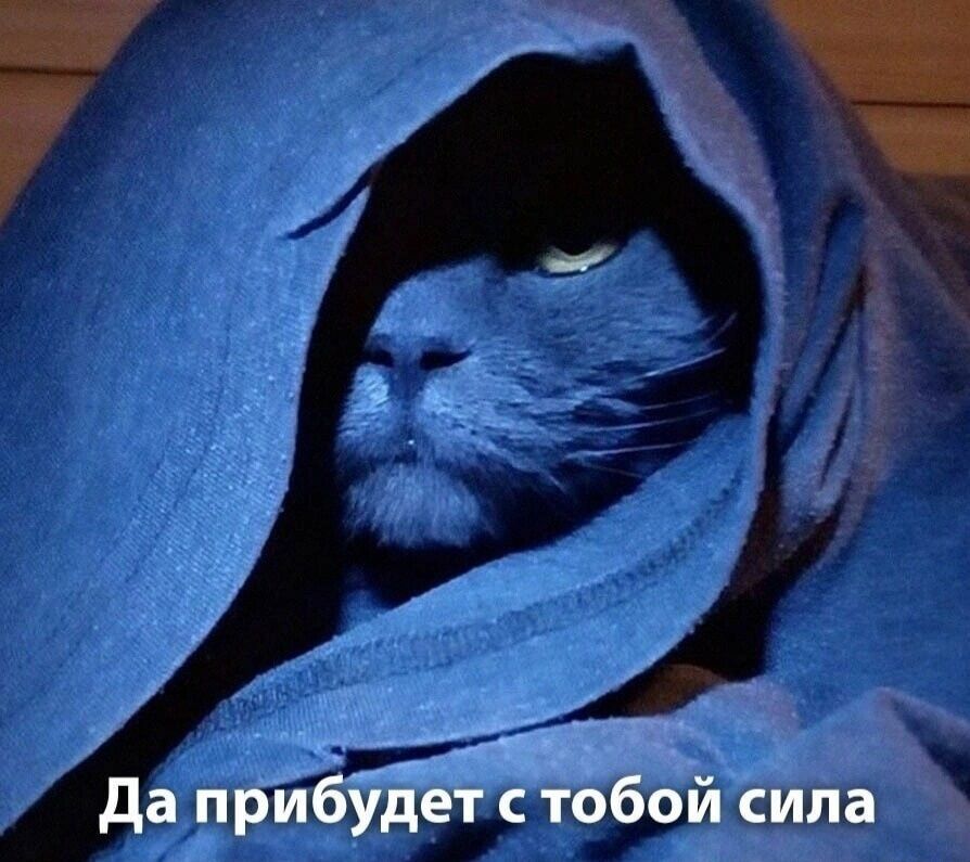 нппт шта