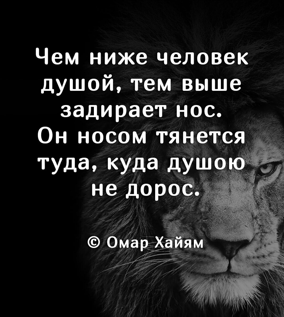 Чем ниже человек душой тем выше задирает нос Он носом тянется туда куда душоюёё не дорос 1 Омархайям 77 Е