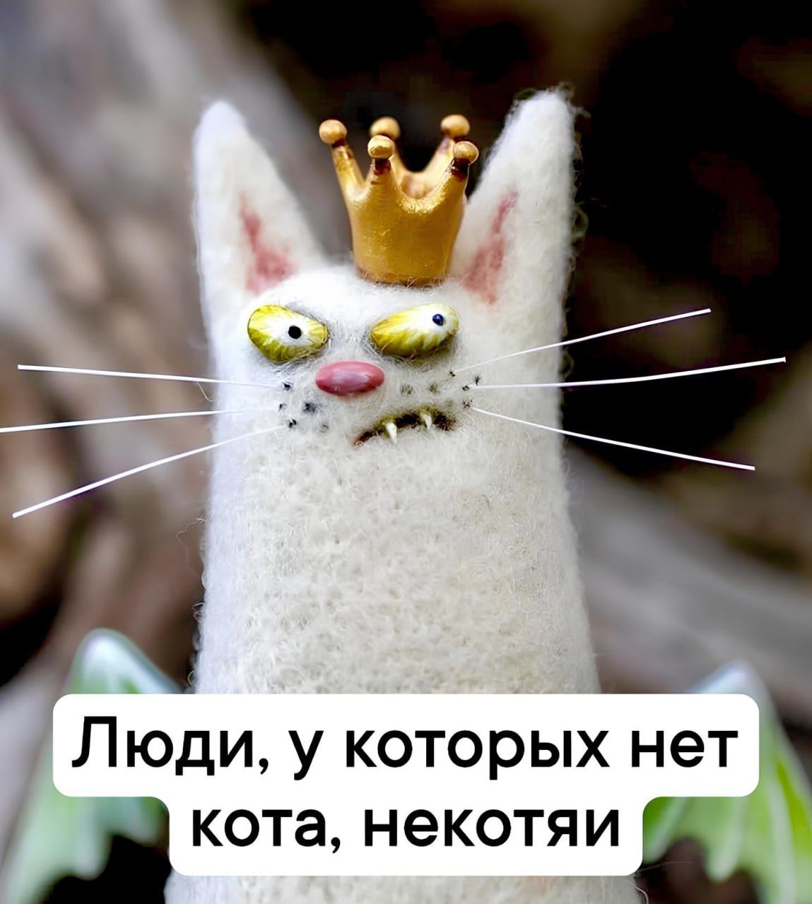 __ ч Люди у которых нет кота некотяи