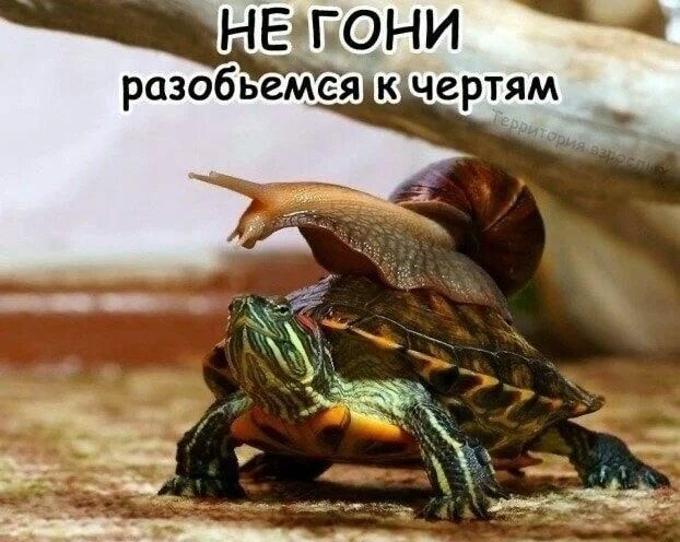 НЕЭБОНИ