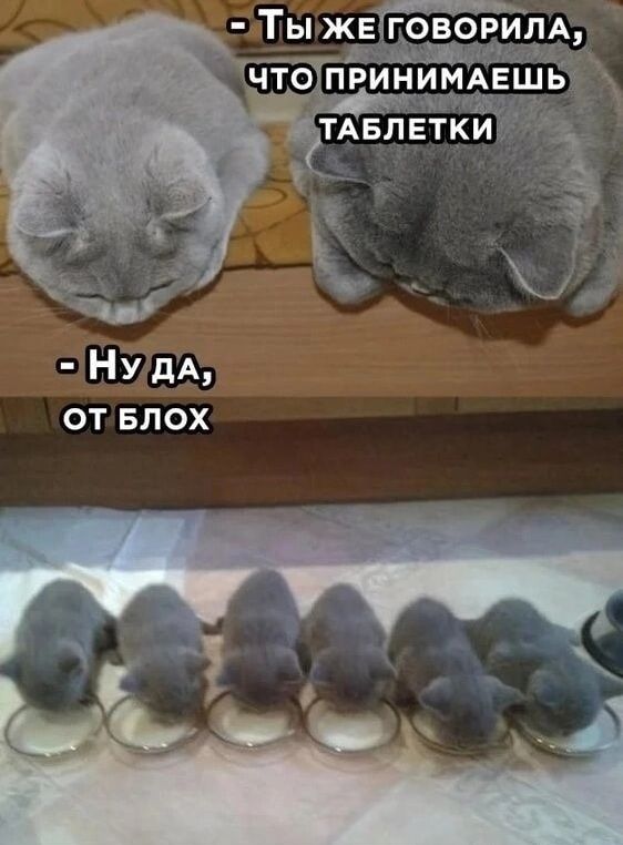 Ну дА от БПОХ