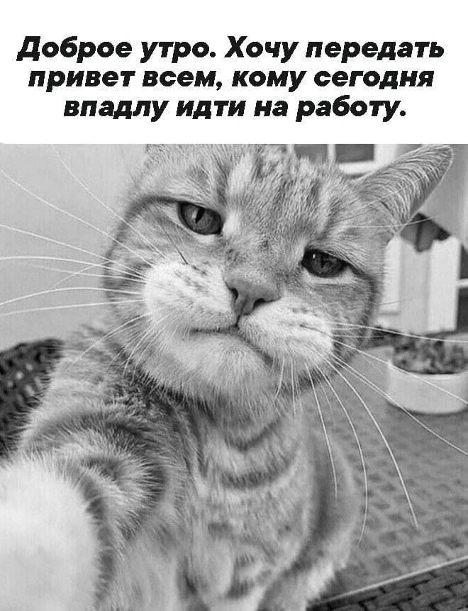 доброе утро Хочу передать привет всем кому сегодня впадлу идти на работу