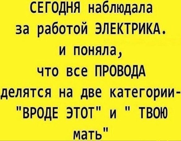 птц