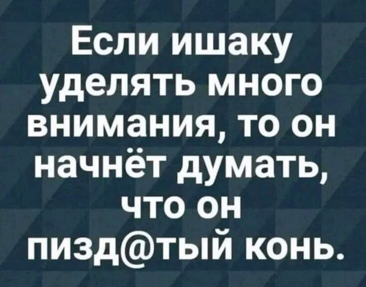 Если ишаку уделять много внимания то он начнёт думать что он пиздтый конь