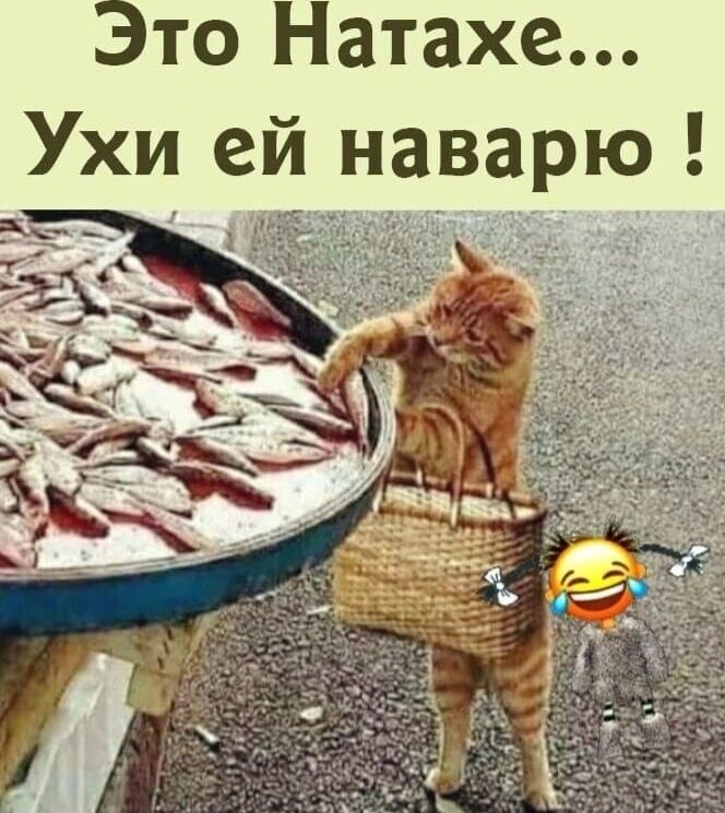 Это Натахе Ухи ей наварю