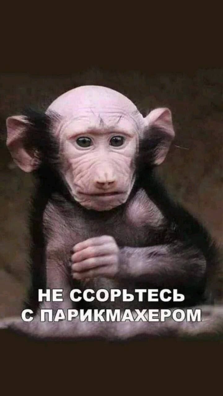 НЕі СОРЬТЕСЬ