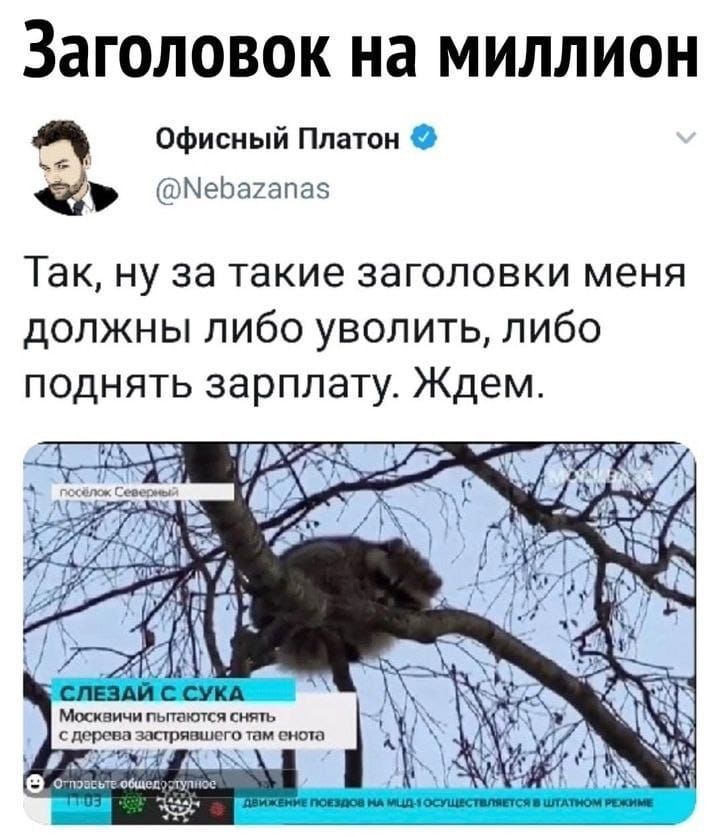 Заголовок на миллион Офисный Платон Ка а багапа5 Так ну за такие заголовки меня должны либо уволить либо поднять зарплату Ждем