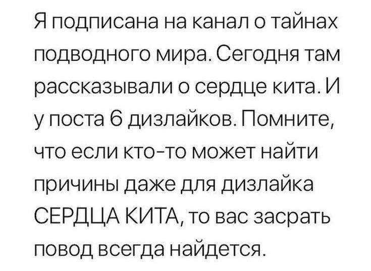 Я подписана на канал о тайнах подводного мира Сегодня там рассказывали о сердце кита И у поста 6 дизлайков Помните что если кто то может найти причины даже для дизлайка СЕРДЦА КИТА то вас засрать повод всегда найдется