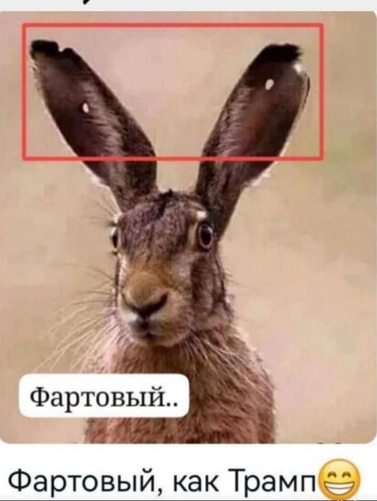 Фартовый как Трамп5