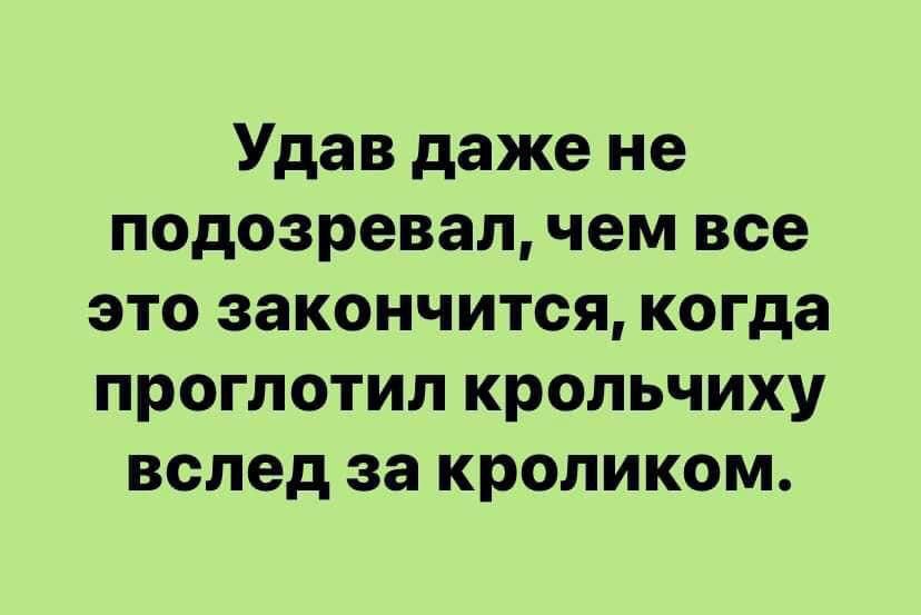 Удав даже не подозревал чем все это закончится когда проглотил крольчиху вслед за кроликом