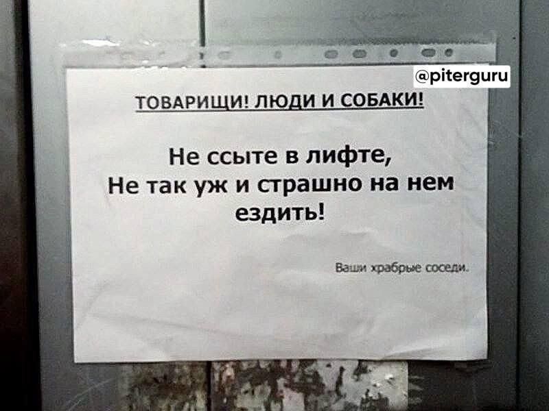 ТОВАРИЩИ ЛЮДИ И СОБАКИ Не ссыте в лифте Не так уж и страшно на нем ездить