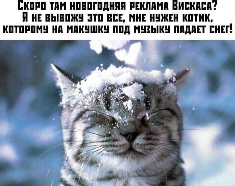 КОРО ТАМ НОВОГОДНЯЯ РЕКЛАМА ВИСКАСА Я НЕ ВЫВОЖУ ЭТО ВСЕ МНЕ НУЖЕН КОТИК КОТОРОМУ НА МАКУШКУ ПОД МУЗЫКУ ПАДАЕТ СНЕГ