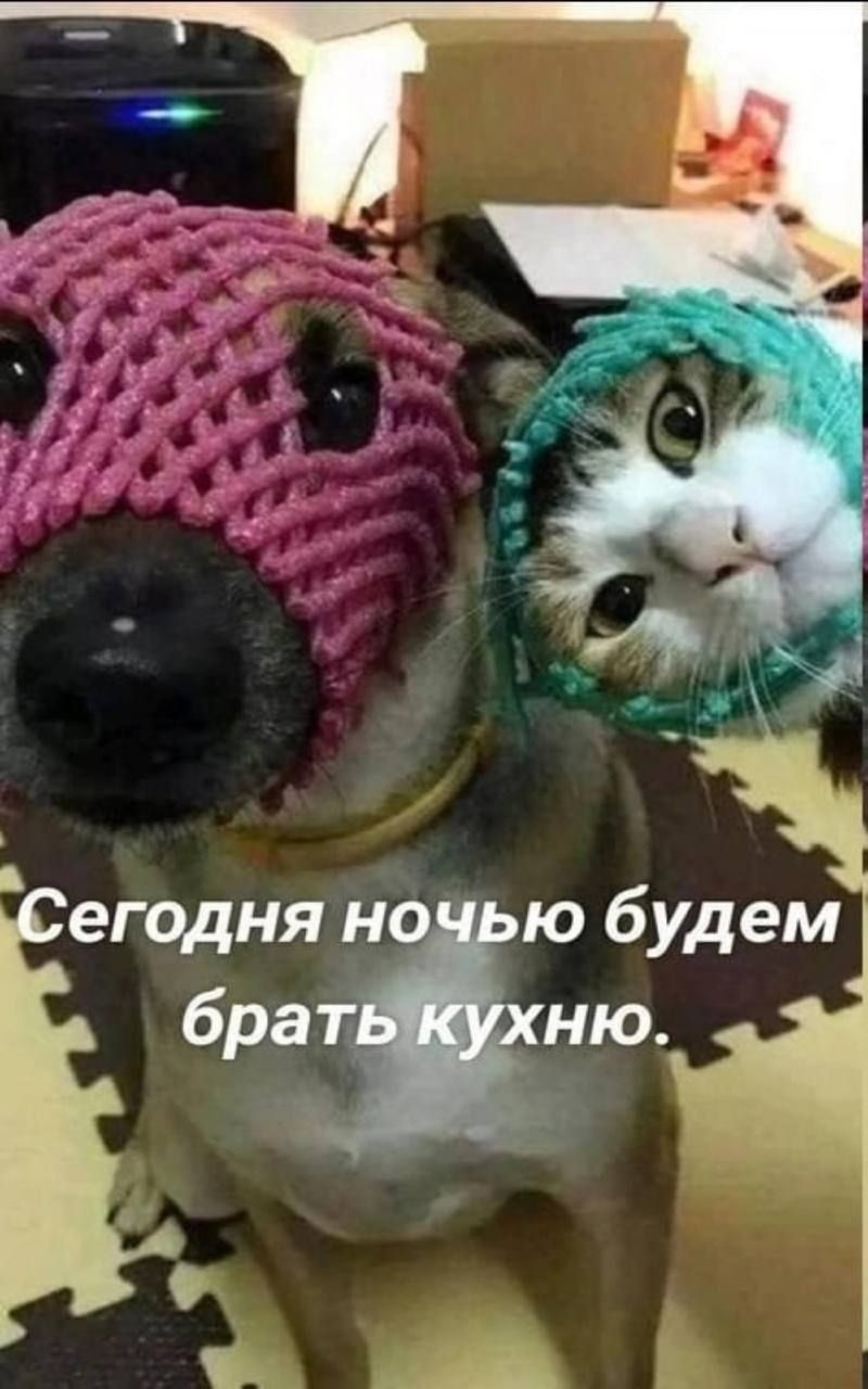 егодня ночью будем браню