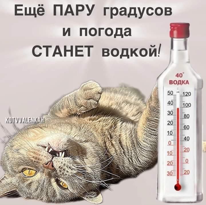 Ещё ПАРУ градусов и погода СТАНЕТ водкой!