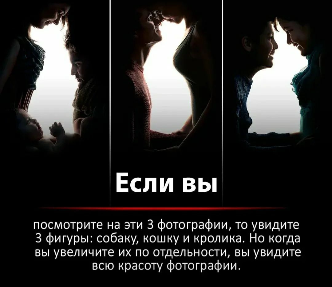 Если вы посмотрите на эти 3 фотографии то увидите 3 Фигуры собаку кошку и кролика Но когда вы увеличите их по отдельности вы увидите всю красоту Фототрафии